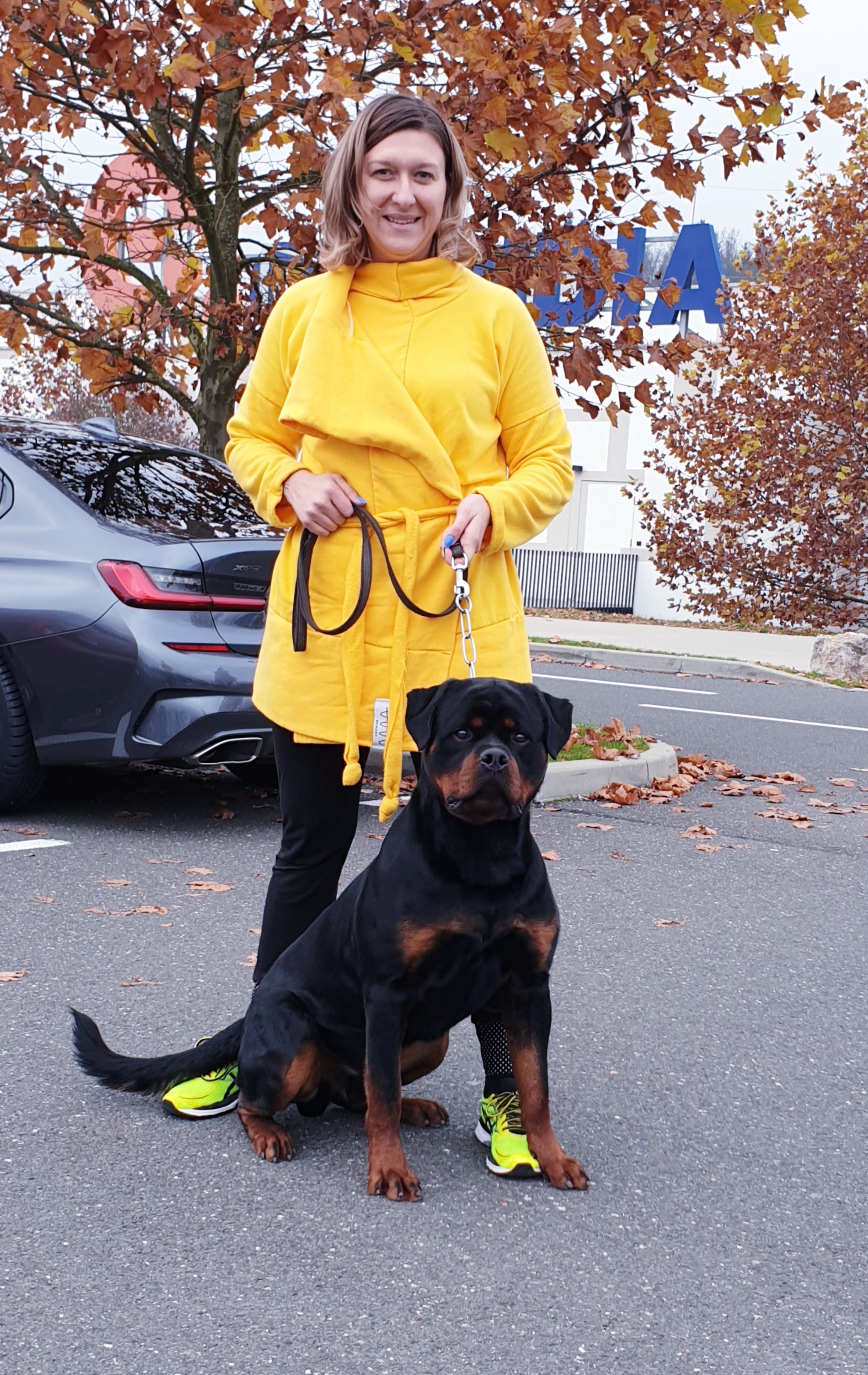 image of the dog Enrique