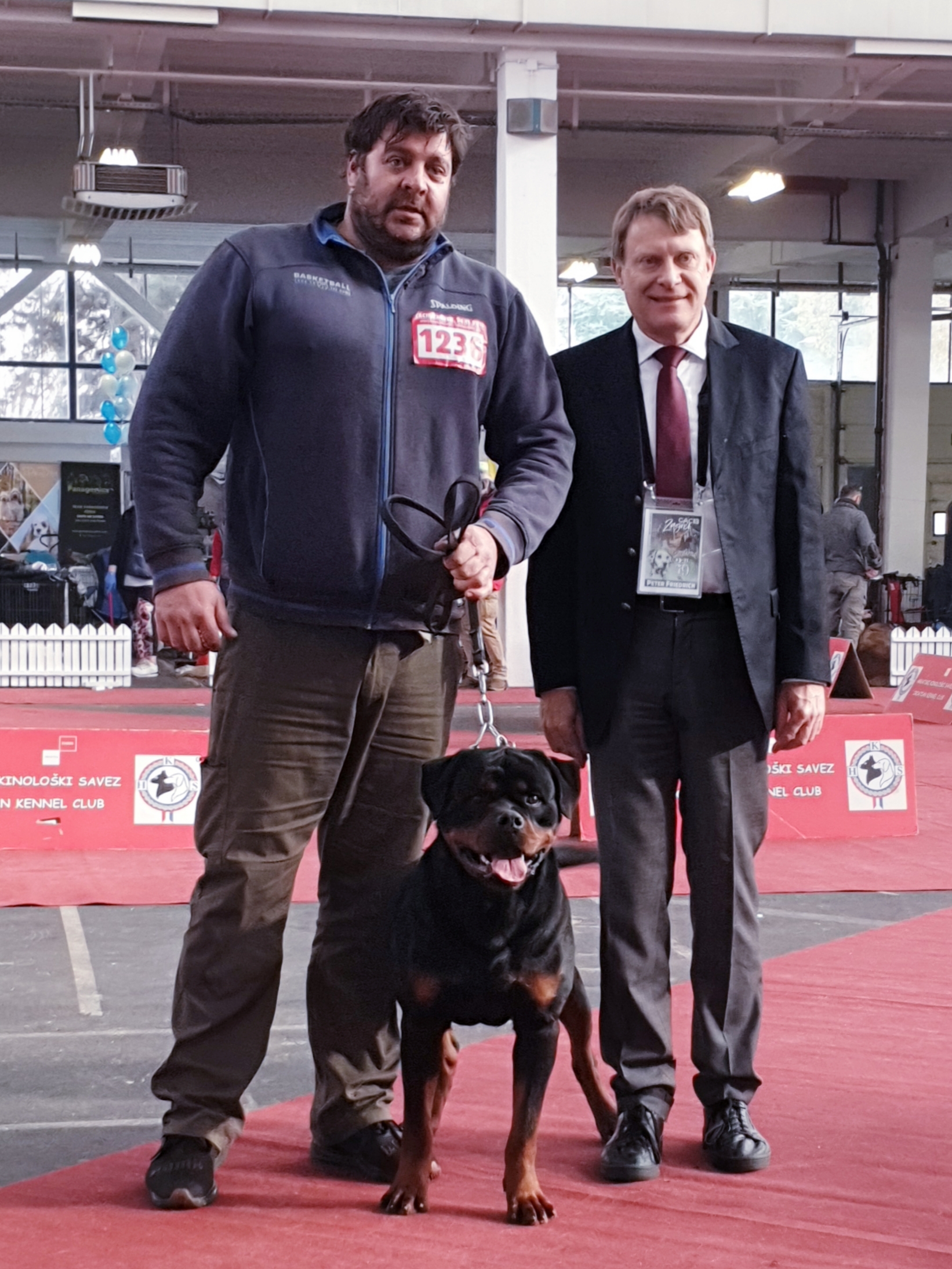 image of the dog Enrique