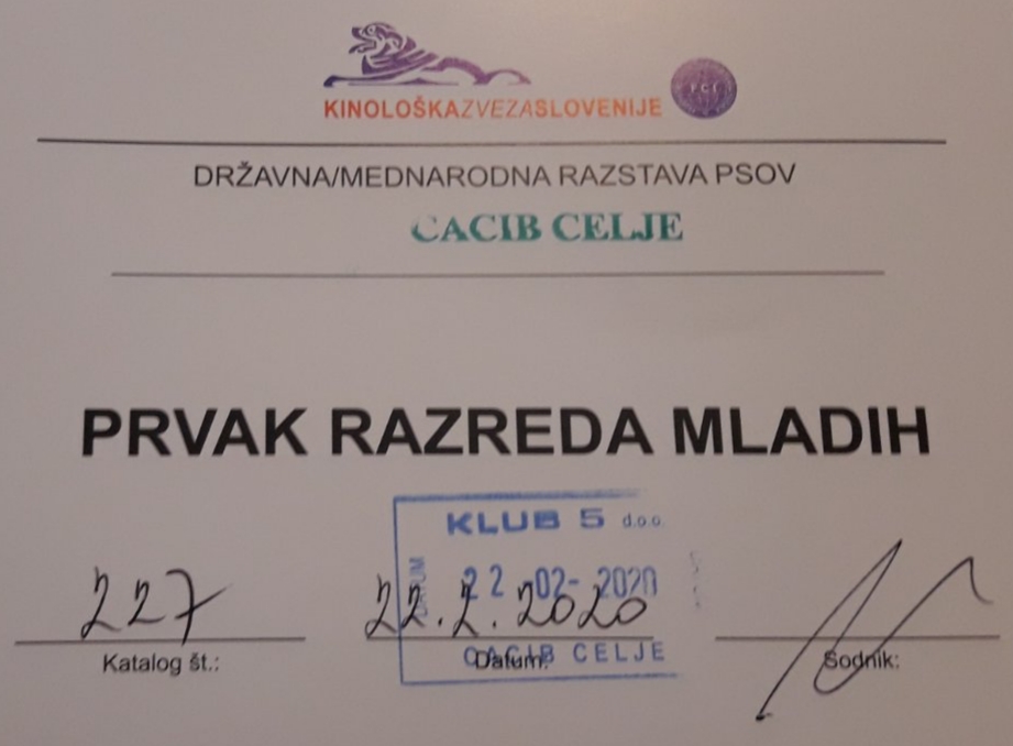 certificat 2