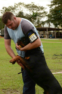 image of the Rottweiler dog Enrique