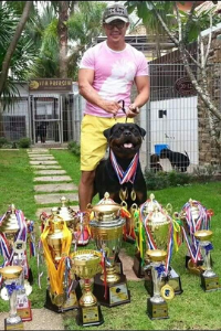 image of the Rottweiler dog Enrique